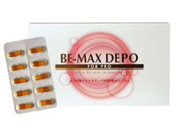BE-MAX DEPO�ʥӡ��ޥå�����